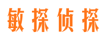 新河市私家侦探